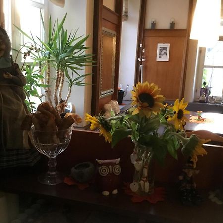 Hotel Zur Eiche 오베르탈 외부 사진
